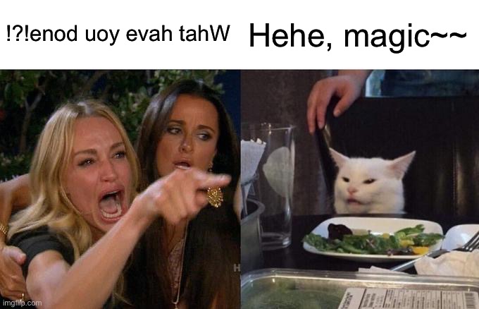 Woman Yelling At Cat | !?!enod uoy evah tahW; Hehe, magic~~ | image tagged in memes,woman yelling at cat,backwards | made w/ Imgflip meme maker