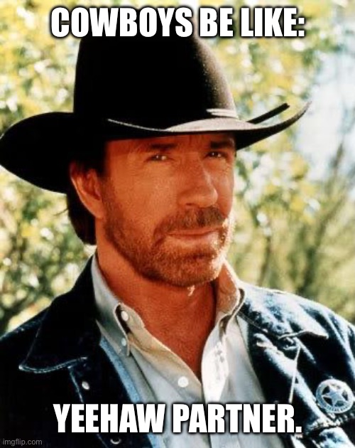 Chuck Norris | COWBOYS BE LIKE:; YEEHAW PARTNER. | image tagged in memes,chuck norris | made w/ Imgflip meme maker