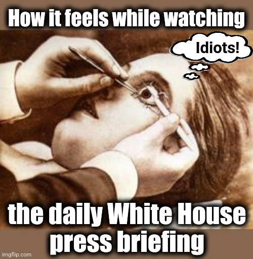 The daily White House press briefing | How it feels while watching; Idiots! the daily White House
press briefing | image tagged in memes,democrats,white house,press briefing,joe biden,clown show | made w/ Imgflip meme maker