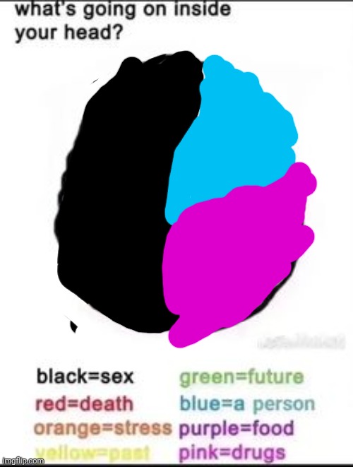 What's going on inside your head? | image tagged in what's going on inside your head | made w/ Imgflip meme maker
