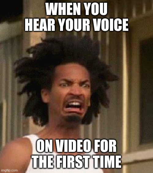 When you hear your voice on video... | WHEN YOU HEAR YOUR VOICE; ON VIDEO FOR THE FIRST TIME | image tagged in disgusted face,funny memes,funny,funny meme,too funny | made w/ Imgflip meme maker