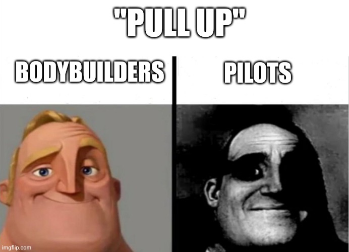 Context: if you hear "pull up" in the cockpit, the plane is about to crash | "PULL UP"; BODYBUILDERS; PILOTS | image tagged in teacher's copy | made w/ Imgflip meme maker