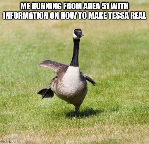 canada goose | ME RUNNING FROM AREA 51 WITH INFORMATION ON HOW TO MAKE TESSA REAL | image tagged in canada goose | made w/ Imgflip meme maker