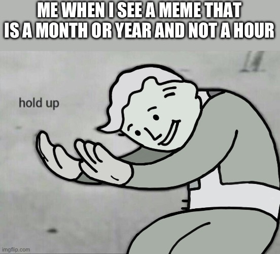 Wait Hold Up | ME WHEN I SEE A MEME THAT IS A MONTH OR YEAR AND NOT A HOUR | image tagged in wait hold up | made w/ Imgflip meme maker