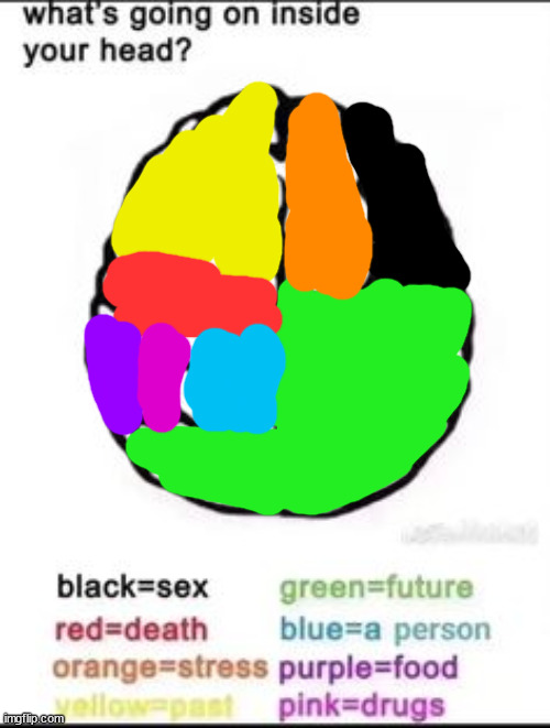 What's going on inside your head? | image tagged in what's going on inside your head | made w/ Imgflip meme maker