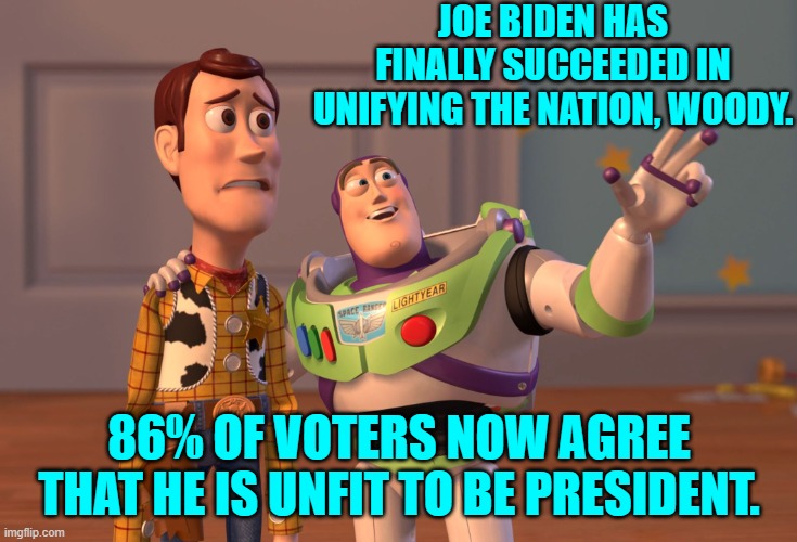 When even the average Dem Party voter thinks Biden sucks; that's significant agreement. | JOE BIDEN HAS FINALLY SUCCEEDED IN UNIFYING THE NATION, WOODY. 86% OF VOTERS NOW AGREE THAT HE IS UNFIT TO BE PRESIDENT. | image tagged in x x everywhere | made w/ Imgflip meme maker