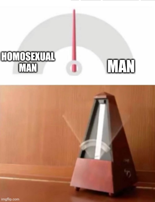 Man | MAN; HOMOSEXUAL MAN | image tagged in metronome | made w/ Imgflip meme maker