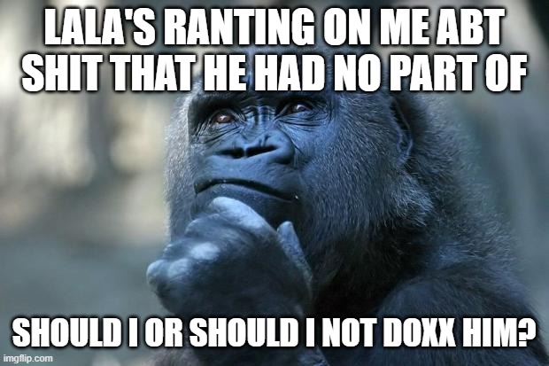Deep Thoughts | LALA'S RANTING ON ME ABT SHIT THAT HE HAD NO PART OF; SHOULD I OR SHOULD I NOT DOXX HIM? | image tagged in deep thoughts | made w/ Imgflip meme maker