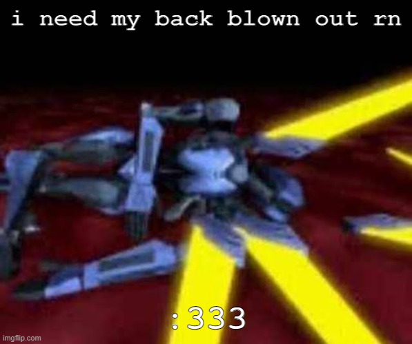fuck the stream mood i do what i want | i need my back blown out rn; :333 | image tagged in his end was now | made w/ Imgflip meme maker