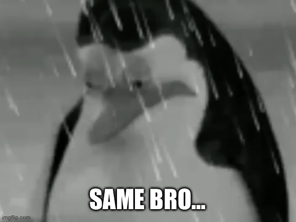 Sadge | SAME BRO… | image tagged in sadge | made w/ Imgflip meme maker