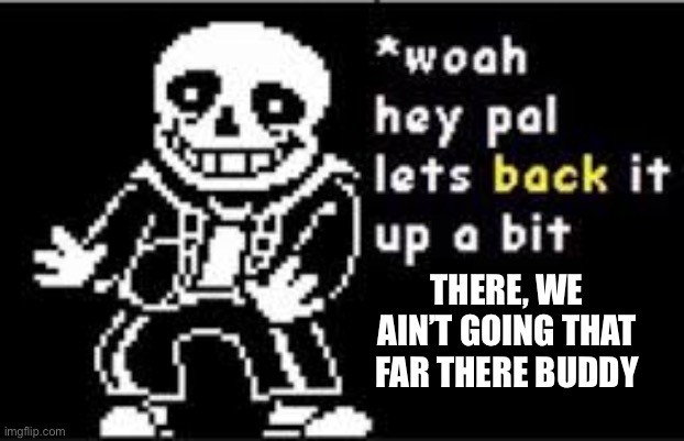 woah hey pal lets back it up a bit | THERE, WE AIN’T GOING THAT FAR THERE BUDDY | image tagged in woah hey pal lets back it up a bit | made w/ Imgflip meme maker