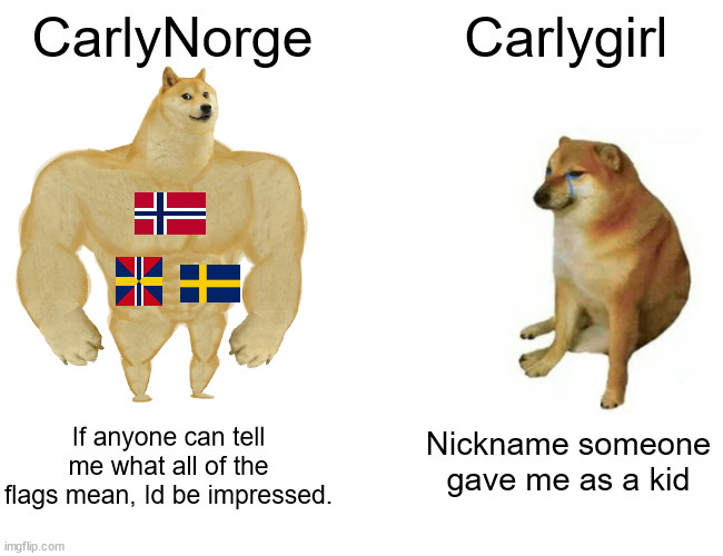 Buff Doge vs. Cheems | CarlyNorge; Carlygirl; If anyone can tell me what all of the flags mean, Id be impressed. Nickname someone gave me as a kid | image tagged in memes,buff doge vs cheems | made w/ Imgflip meme maker