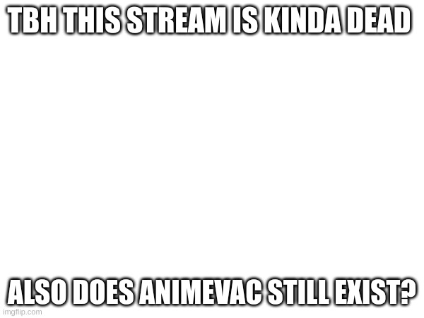 idk | TBH THIS STREAM IS KINDA DEAD; ALSO DOES ANIMEVAC STILL EXIST? | image tagged in idk | made w/ Imgflip meme maker