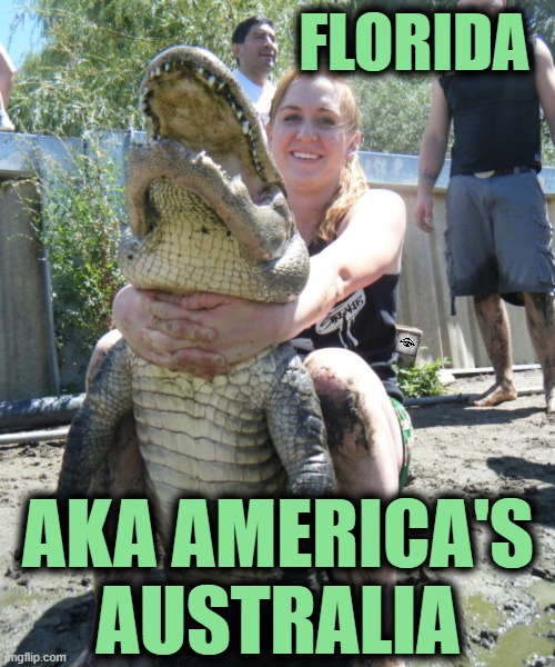 FLORIDA; AKA AMERICA'S AUSTRALIA | image tagged in florida,australia,gators | made w/ Imgflip meme maker