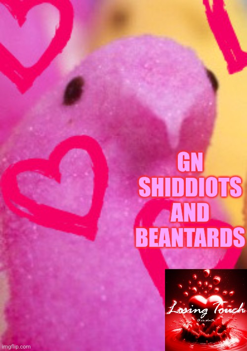 Gn | GN SHIDDIOTS AND BEANTARDS | image tagged in majik peeps valentines 2 | made w/ Imgflip meme maker