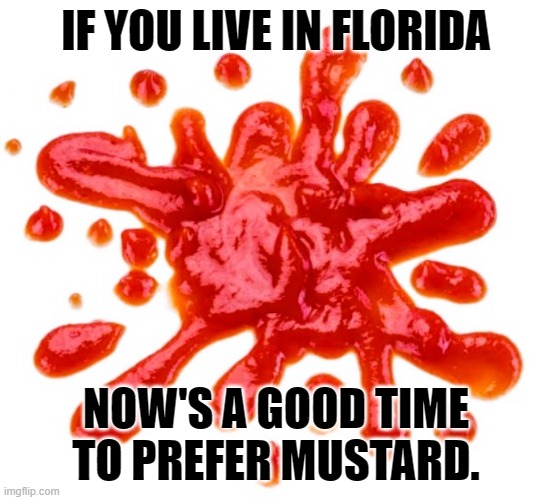 No Ketchup, Switch To Mustard | IF YOU LIVE IN FLORIDA; NOW'S A GOOD TIME TO PREFER MUSTARD. | image tagged in ketchup,florida,trump | made w/ Imgflip meme maker