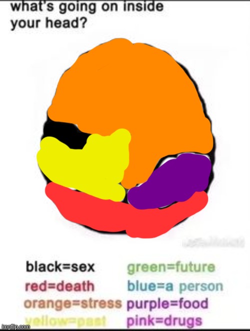 What's going on inside your head? | image tagged in what's going on inside your head | made w/ Imgflip meme maker