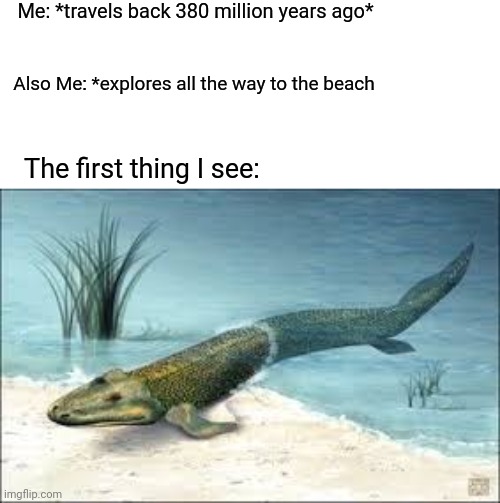Tiktaalik | Me: *travels back 380 million years ago* Also Me: *explores all the way to the beach The first thing I see: | image tagged in tiktaalik | made w/ Imgflip meme maker