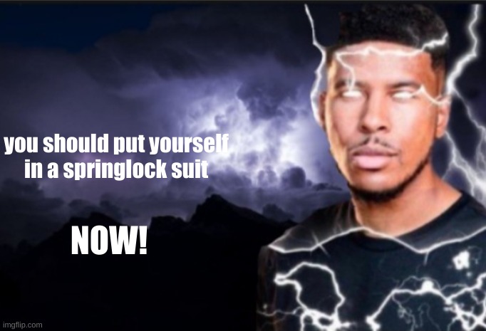DO IT! | you should put yourself in a springlock suit; NOW! | image tagged in k wodr blank | made w/ Imgflip meme maker