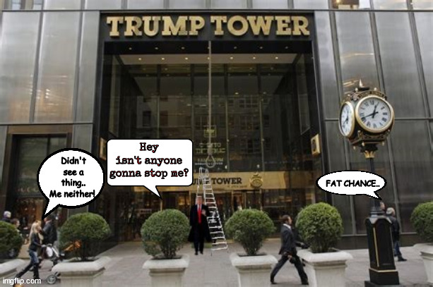 Hanging Around NYC | Hey isn't anyone gonna stop me? Didn't see a thing..
Me neither! FAT CHANCE.. | image tagged in donald trump,chapter 11 and 12,hanging around,bank faud,ante up rubes,nyc thanks you for paying these fines | made w/ Imgflip meme maker