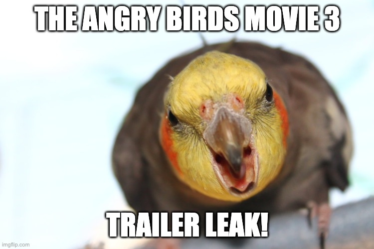 Screm Birb | THE ANGRY BIRDS MOVIE 3; TRAILER LEAK! | image tagged in screm birb | made w/ Imgflip meme maker