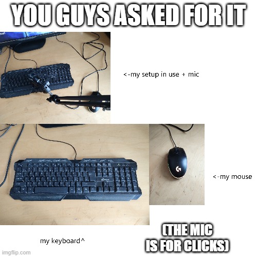 my keyboard and mouse reveal | YOU GUYS ASKED FOR IT; (THE MIC IS FOR CLICKS) | made w/ Imgflip meme maker