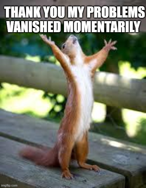 Praise Squirrel | THANK YOU MY PROBLEMS VANISHED MOMENTARILY | image tagged in praise squirrel | made w/ Imgflip meme maker