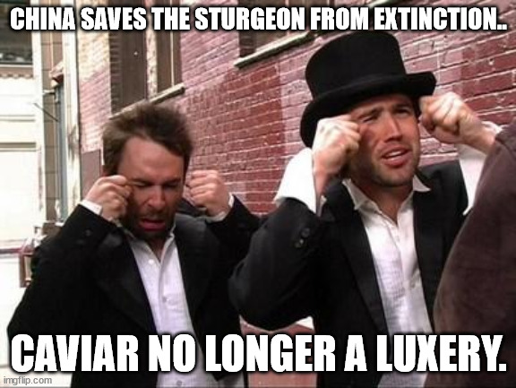 Mac and Charlie crying | CHINA SAVES THE STURGEON FROM EXTINCTION.. CAVIAR NO LONGER A LUXERY. | image tagged in mac and charlie crying | made w/ Imgflip meme maker