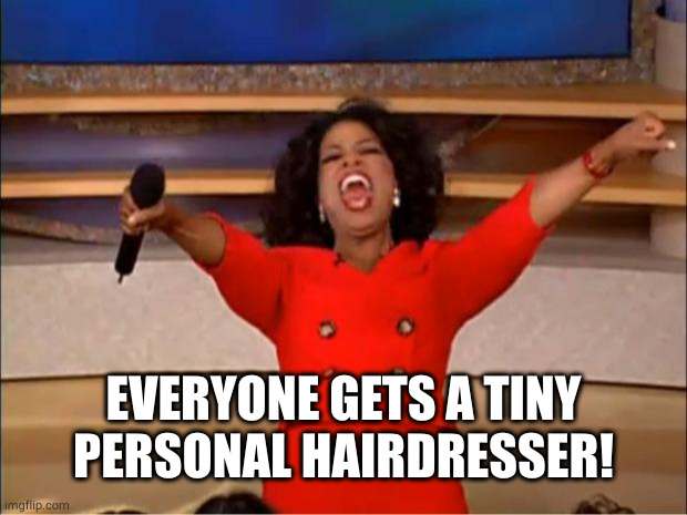 Oprah You Get A Meme | EVERYONE GETS A TINY PERSONAL HAIRDRESSER! | image tagged in memes,oprah you get a | made w/ Imgflip meme maker