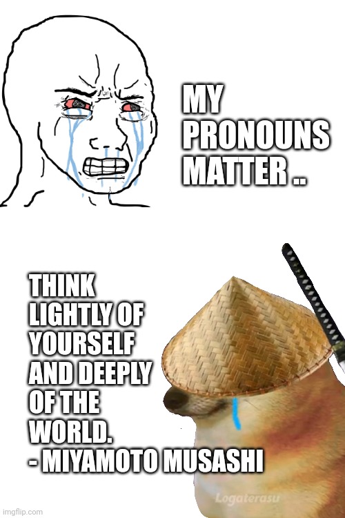 Liberal memes | THINK LIGHTLY OF YOURSELF AND DEEPLY OF THE WORLD.
- MIYAMOTO MUSASHI; MY PRONOUNS MATTER .. | image tagged in liberals,liberal logic,liberal tears | made w/ Imgflip meme maker
