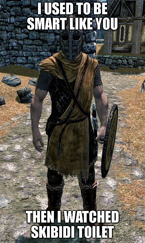 Skyrim Guard | I USED TO BE SMART LIKE YOU; THEN I WATCHED SKIBIDI TOILET | image tagged in skyrim guard | made w/ Imgflip meme maker