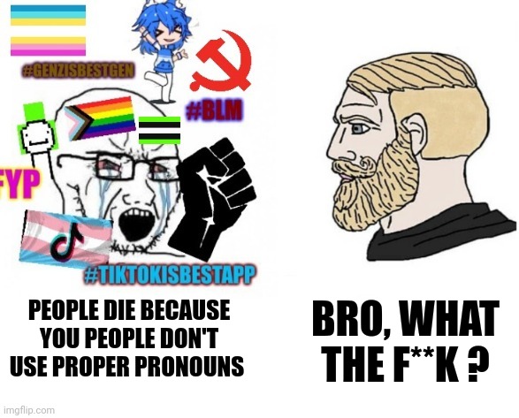 average liberal VS chad | BRO, WHAT THE F**K ? PEOPLE DIE BECAUSE YOU PEOPLE DON'T USE PROPER PRONOUNS | image tagged in average liberal vs chad outdated,liberal logic,retarded liberal protesters,screaming liberal | made w/ Imgflip meme maker