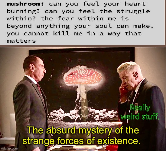 Mycomob | Really weird stuff. The absurd mystery of the strange forces of existence. | image tagged in mushroom,twin peaks,wgm charity battle | made w/ Imgflip meme maker