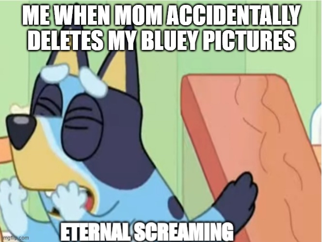 True | ME WHEN MOM ACCIDENTALLY DELETES MY BLUEY PICTURES | image tagged in bluey eternal screaming | made w/ Imgflip meme maker