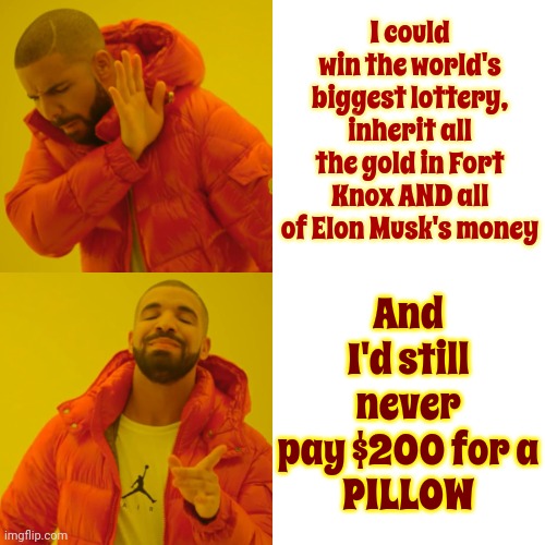 I'd Never Pay $1,000 For A Purse Either | I could win the world's biggest lottery, inherit all the gold in Fort Knox AND all of Elon Musk's money; And I'd still never pay $200 for a
PILLOW | image tagged in memes,drake hotline bling,expensive,wasteful,not just no but hell no,nope nope nope | made w/ Imgflip meme maker