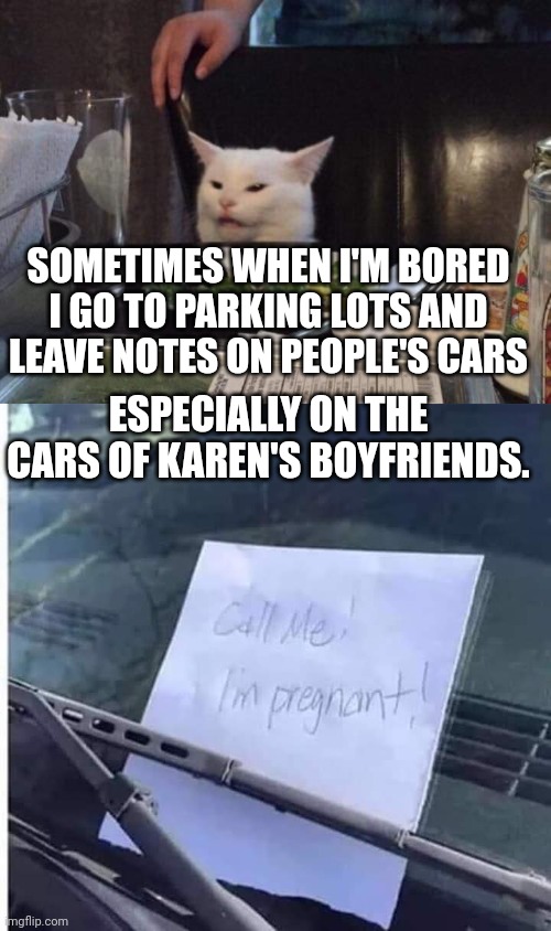 SOMETIMES WHEN I'M BORED I GO TO PARKING LOTS AND LEAVE NOTES ON PEOPLE'S CARS; ESPECIALLY ON THE CARS OF KAREN'S BOYFRIENDS. | image tagged in salad cat | made w/ Imgflip meme maker