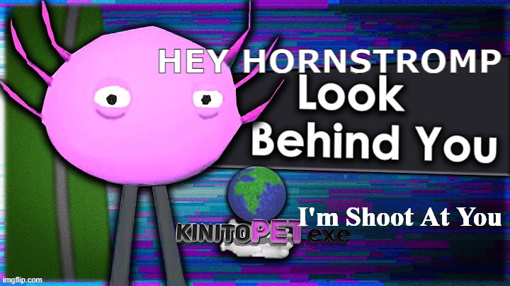 The Kinito Memes | HEY HORNSTROMP; I'm Shoot At You | image tagged in look behind you its kinito | made w/ Imgflip meme maker