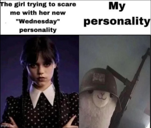 The girl trying to scare me with her new Wednesday personality | image tagged in the girl trying to scare me with her new wednesday personality,machine gun,alpaca,operator bravo,sabaton | made w/ Imgflip meme maker