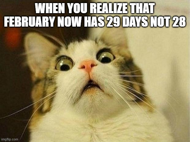 Scared Cat | WHEN YOU REALIZE THAT FEBRUARY NOW HAS 29 DAYS NOT 28 | image tagged in memes,scared cat,funny,funny memes | made w/ Imgflip meme maker