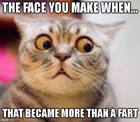 Cat Fart | THE FACE YOU MAKE WHEN... THAT BECAME MORE THAN A FART | image tagged in funny cat,fart,cat,funny,surprise | made w/ Imgflip meme maker