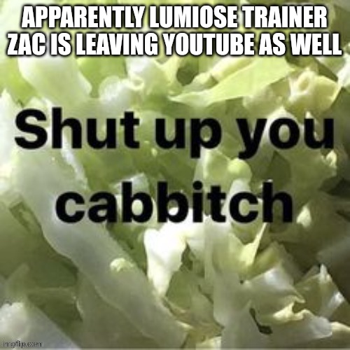 Shut up you cabbitch | APPARENTLY LUMIOSE TRAINER ZAC IS LEAVING YOUTUBE AS WELL | image tagged in shut up you cabbitch | made w/ Imgflip meme maker