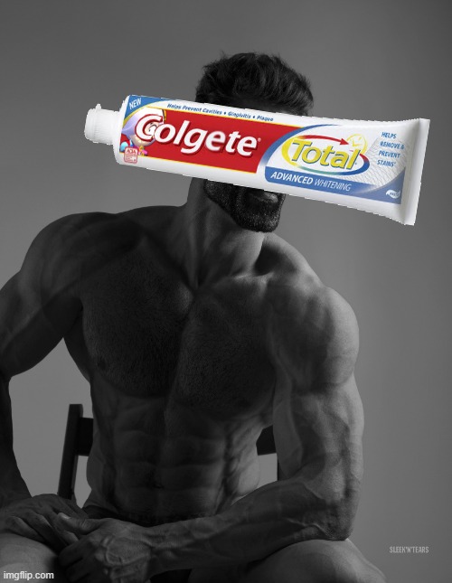 Giga Chad | image tagged in giga chad | made w/ Imgflip meme maker