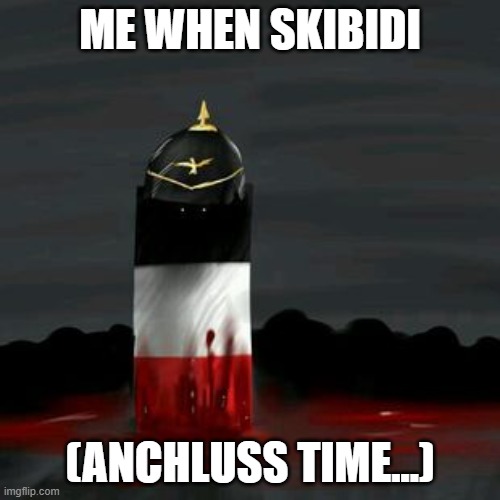 Nobody likes Skibidi | ME WHEN SKIBIDI; (ANCHLUSS TIME...) | image tagged in reichtangle,memes,skibidi | made w/ Imgflip meme maker