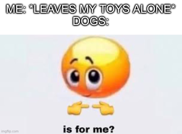 Is for me | ME: *LEAVES MY TOYS ALONE*
DOGS: | image tagged in is for me | made w/ Imgflip meme maker