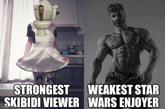 Strongest Fan VS Weakest Fan | STRONGEST SKIBIDI VIEWER WEAKEST STAR WARS ENJOYER | image tagged in strongest fan vs weakest fan | made w/ Imgflip meme maker