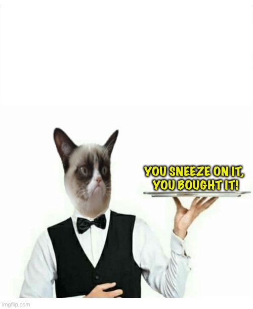 Grumpy Cat Waiter | YOU SNEEZE ON IT, 
YOU BOUGHT IT! | image tagged in grumpy cat waiter | made w/ Imgflip meme maker