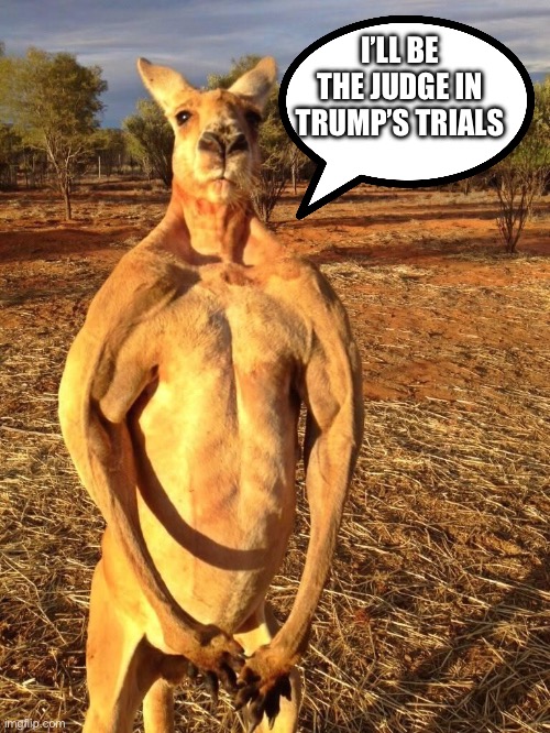 Buff Kangaroo | I’LL BE THE JUDGE IN TRUMP’S TRIALS | image tagged in buff kangaroo | made w/ Imgflip meme maker