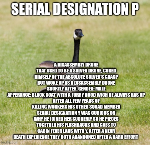OC number 1 | A DISASSEMBLY DRONE THAT USED TO BE A SOLVER DRONE, CURED HIMSELF OF THE ABSOLUTE SOLVER'S GRASP BUT WOKE UP AS A DISASSEMBLY DRONE SHORTLY AFTER. GENDER: MALE
APPERANCE: BLACK COAT WITH A FURRY HOOD WICH HE ALWAYS HAS UP
AFTER ALL FEW YEARS OF KILLING WORKERS HIS OTHER SQUAD MEMBER SERIAL DESIGNATION Y WAS CURIOUS ON WHY HE JOINED HER SUDDENLY SO HE PIECES TOGETHER HIS FLASHBACKS AND GOES TO CABIN FEVER LABS WITH Y, AFTER A NEAR DEATH EXPERIENCE THEY BOTH ABANDONED AFTER A HARD EFFORT; SERIAL DESIGNATION P | image tagged in canada goose | made w/ Imgflip meme maker