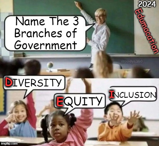 DEI | 2024; Edumacation; Name The 3
Branches of 
Government; D; DIVERSITY; INCLUSION; I; EQUITY; E | image tagged in government,education,common core,edumacation,diversity equity inclusion,political humor | made w/ Imgflip meme maker