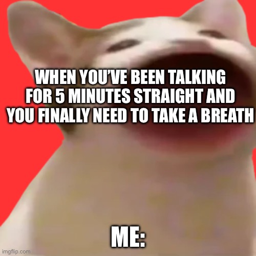 WHEN YOU’VE BEEN TALKING FOR 5 MINUTES STRAIGHT AND YOU FINALLY NEED TO TAKE A BREATH; ME: | image tagged in cats | made w/ Imgflip meme maker